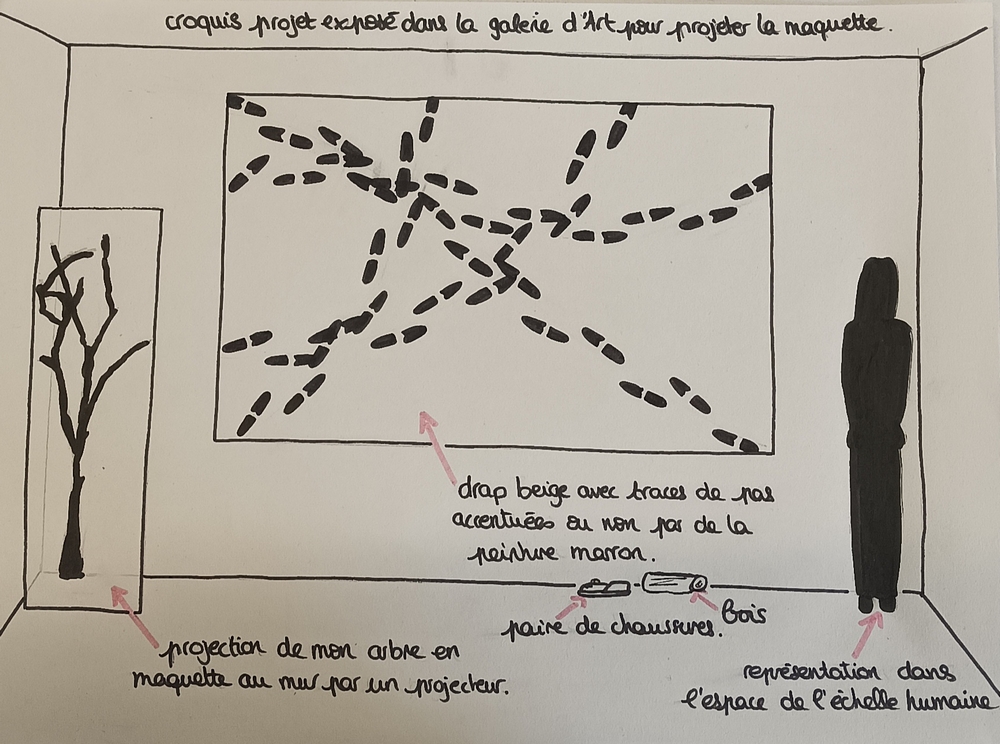 Projet d'installation-eélève de terminale spécialité