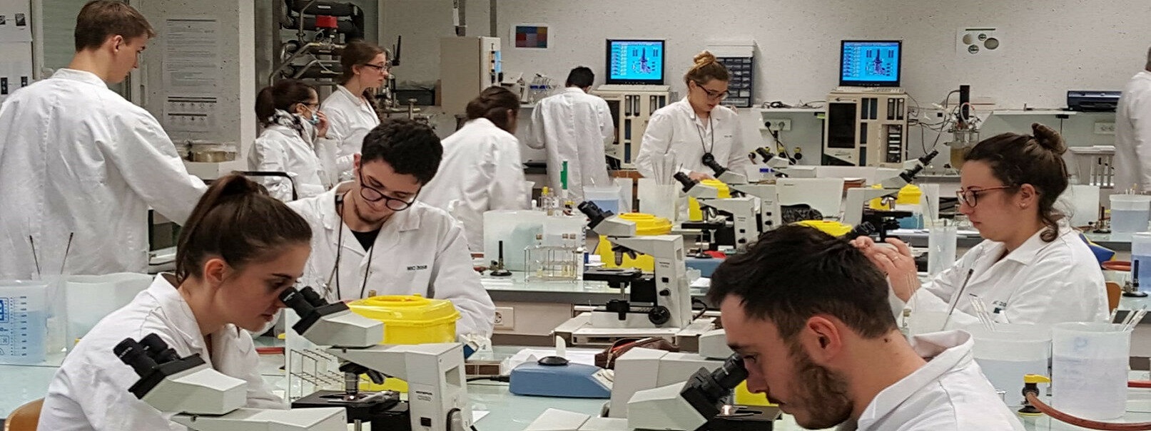 Permalien vers:BAC STL BIOTECHNOLOGIES